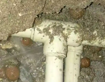 隆林测漏水多少钱