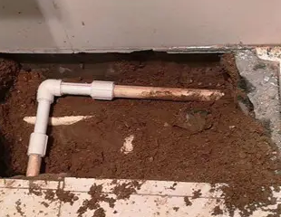 隆林测漏水哪家好