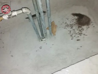 隆林卫生间测漏水价格明细